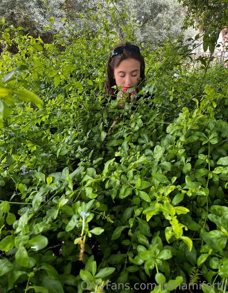 lamamifertil top star gallery