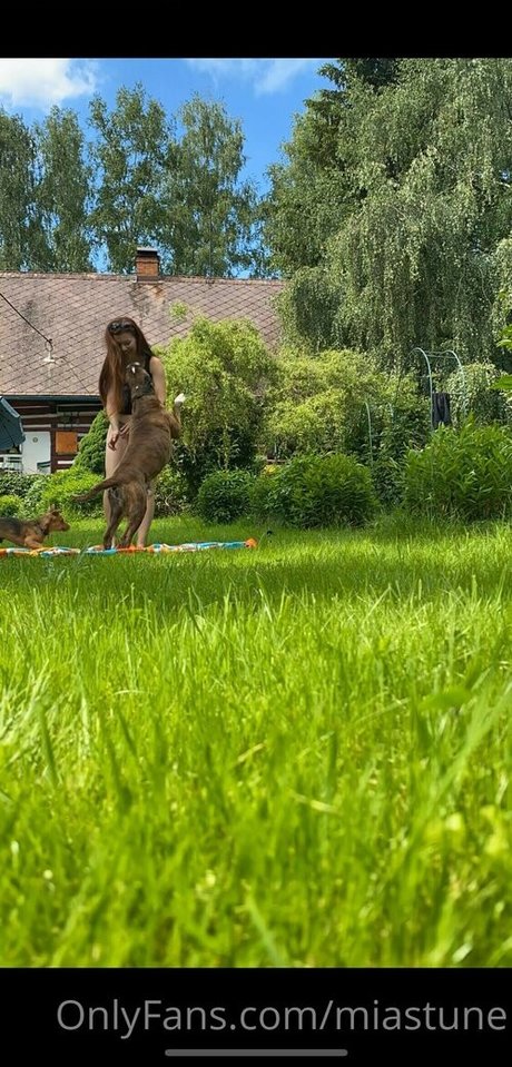 Mia Sollis pretty actress pictures