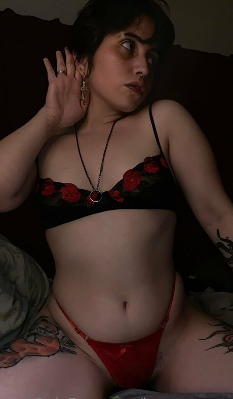 imnagaraya nice star image