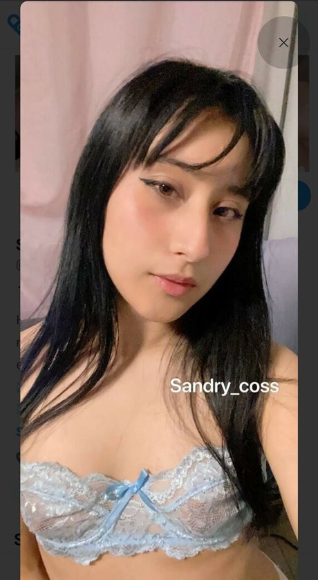 Sandry coss art pornstar img