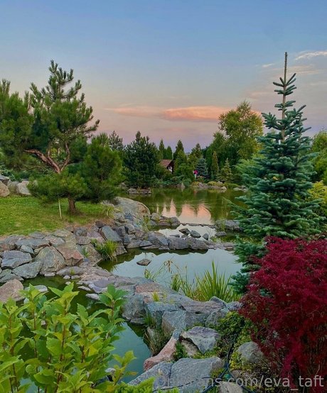 eva taft pretty star photos