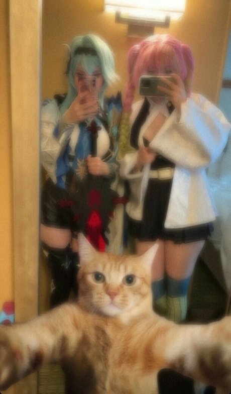 Realfrogg nude pornstar pic