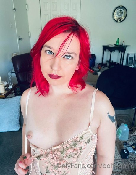 BoltedBird star hot pictures