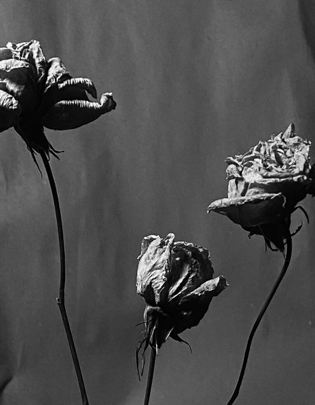 ivi ivinskaya model pornographic photos