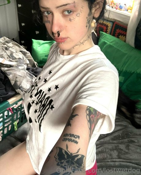 Lostwetdog pornstar adult img