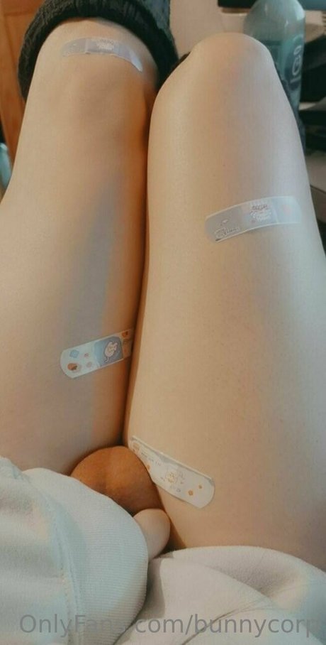 bunnycorp star free img