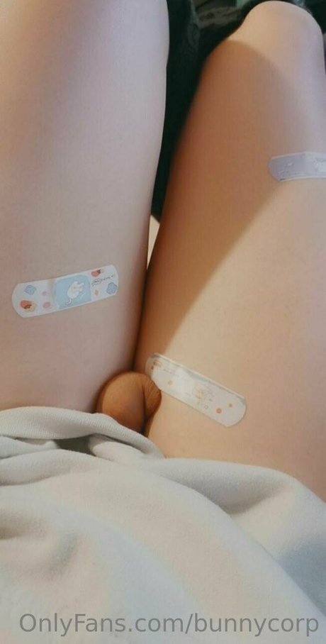 bunnycorp pornstar art gallery