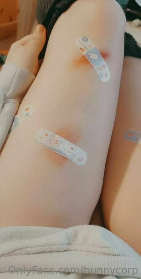 bunnycorp star xxx archive