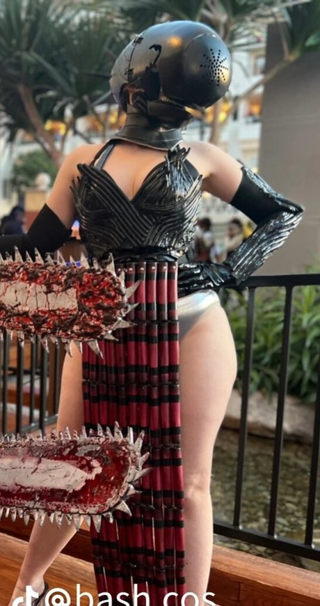 Sailorscholar art star images