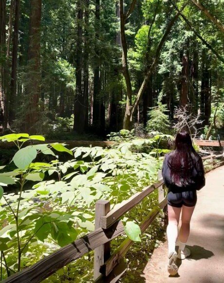 LivBev hd star photos