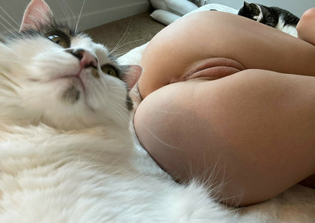 Alyssa Alessio pornstar adult img