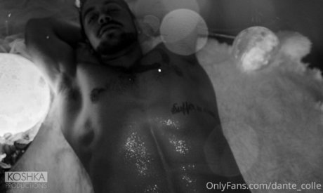 dante colle free star galleries