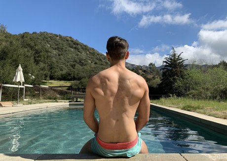 dante colle art pornstar gallery