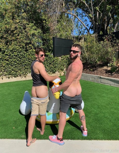 dante colle top star pic