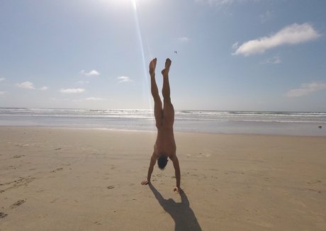 dante colle model top photo