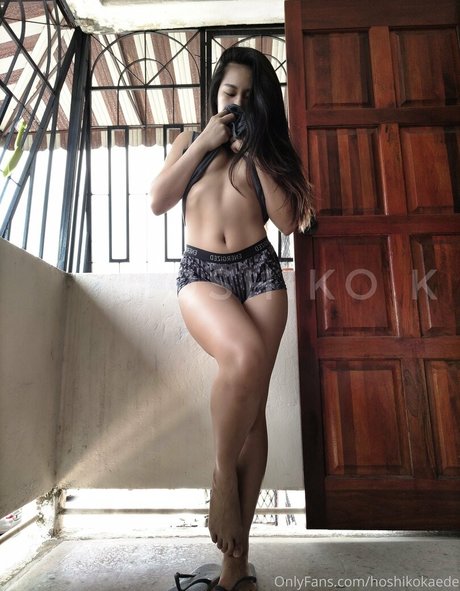 hoshi k model perfect archive