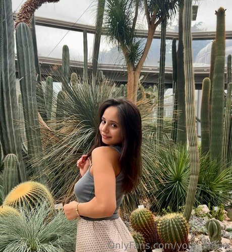 your amixx sexy star archive