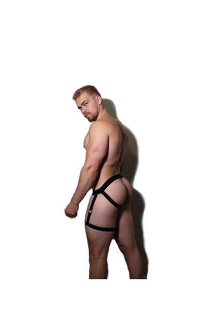 officialfinch93 star pictures