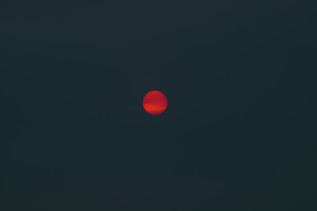 oddhoney model exclusive picture