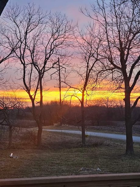 Nutty star sex photos