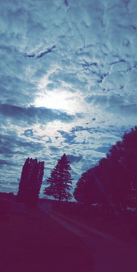 Nutty professoar nudes model pic