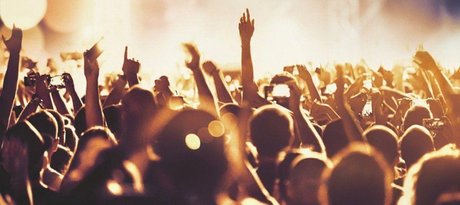 Northern Redhead hd model gallery