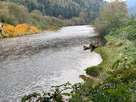 Northwest Cowboy Casanova free pornstar pictures