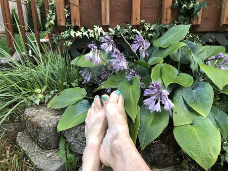 No Pussi Foot n Around star naked images