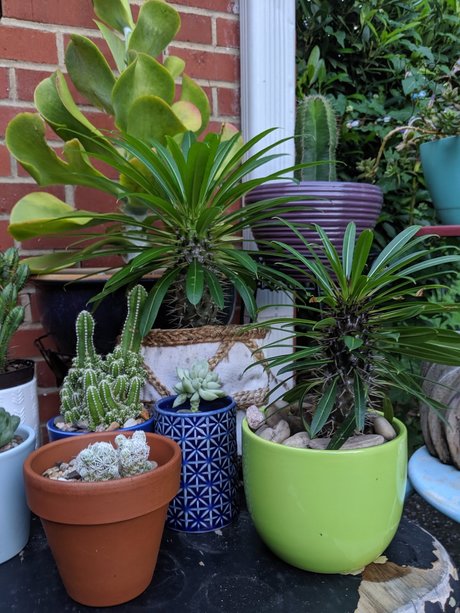 Matt woodds star naked archive