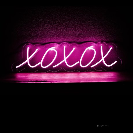 Niva best model galleries