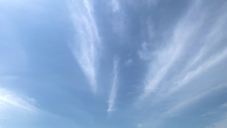 Nikki FREE inactive_ pornographic model pic