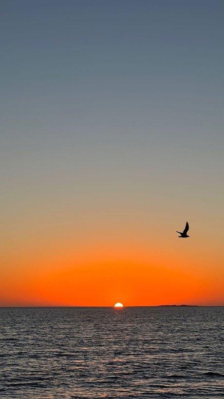 Pepe Angell porn star gallery