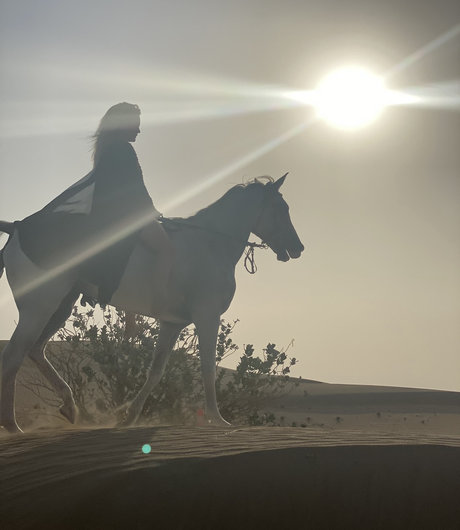 PeepingTomsQuest model sex pic