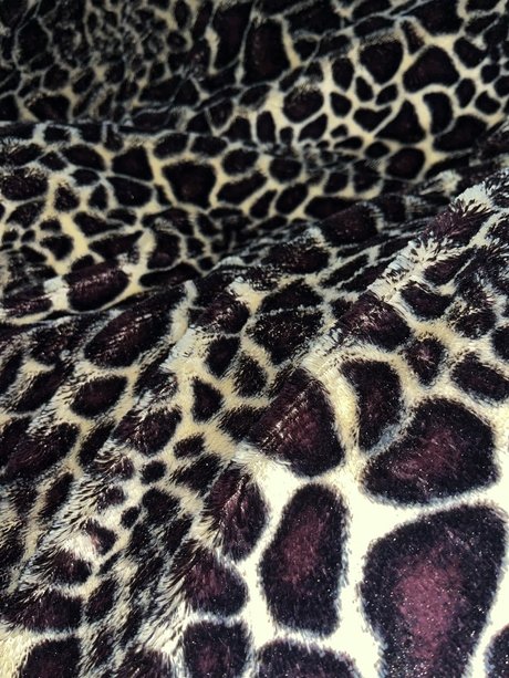 P de Sereia sexy star img