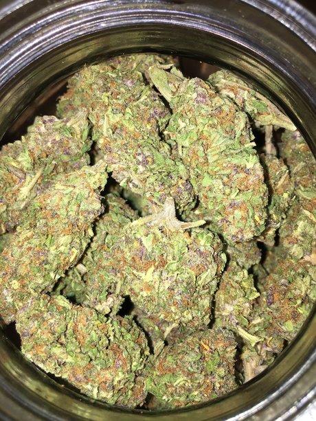 Peach Daddy pornographic star galleries