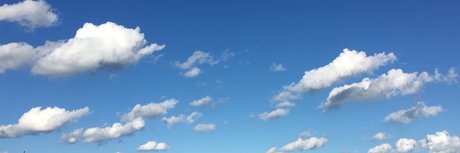 peace man free star gallery