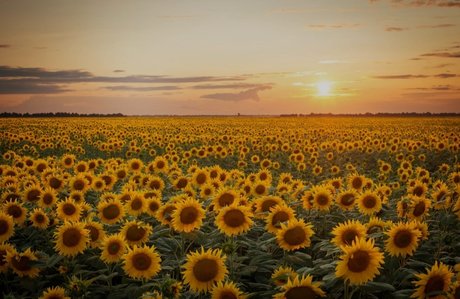 Patty model xxx galleries