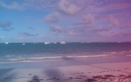 Pat Z xxx actress pics