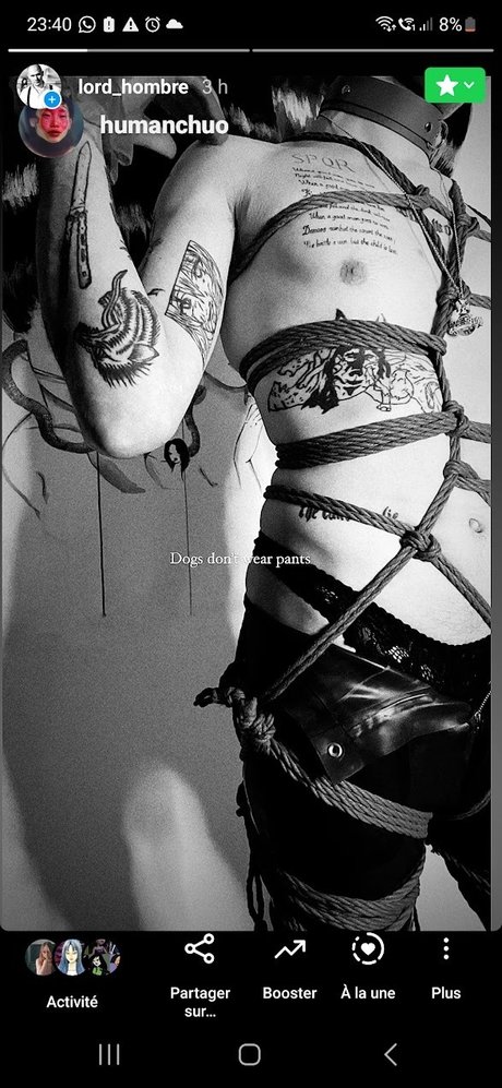 StraightToBottom pornstar art img