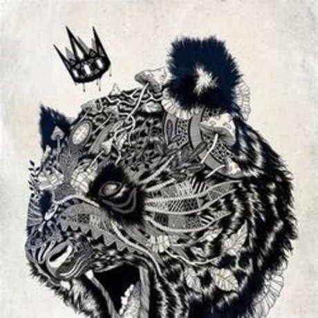 The1KingPanda adult star img