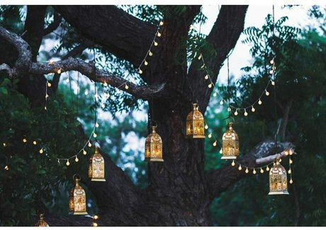 Tatted Feet hot actress picture