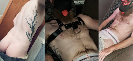 Otr perfect model pictures