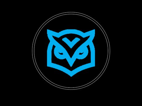 OnlyFrames top model pictures