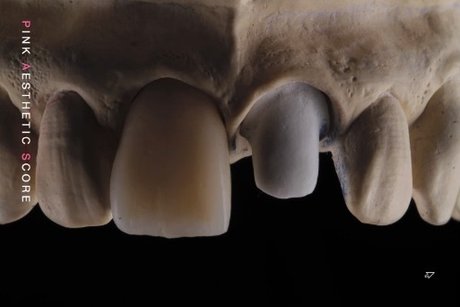 OnlyDentistry sexy model gallery