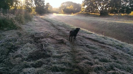 onkelbert best model picture