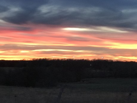 Tugar star free photo