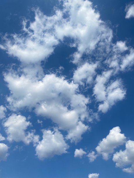 pretty richard beautiful model pictures