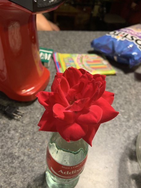 Precious Peach pretty actress archive