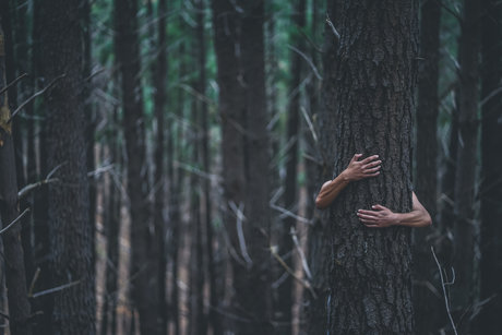 CryptoFomo porn model galleries