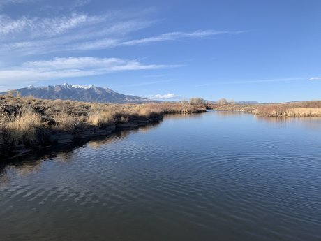 James Francis star art gallery